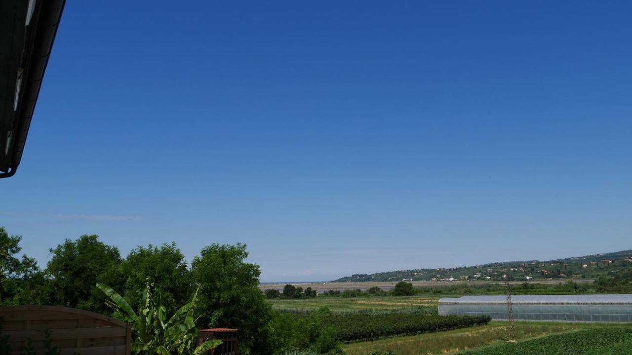 SečovljePenzion Palma公寓 外观 照片